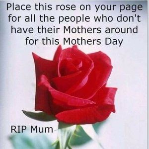 Meet your Posher, Lilindsay